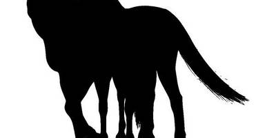 Животные 4010