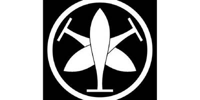 Японский узор 3001