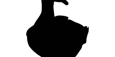 Животные 811