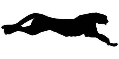 Животные 248