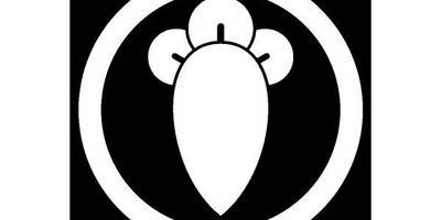 Японский узор 794