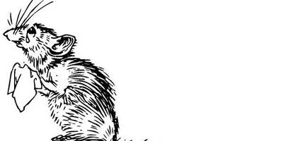 Животные 478