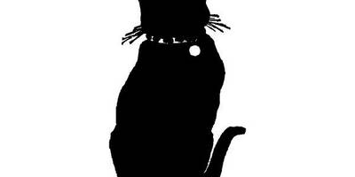 Животные 1911