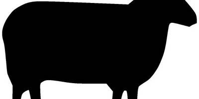 Животные 1952