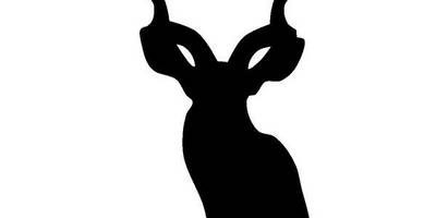 Животные 1428