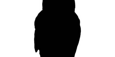 Животные 2338