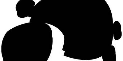 Животные 247