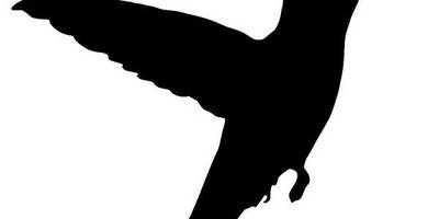 Животные 3428