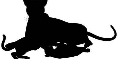 Животные 3535