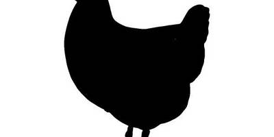 Животные 2667