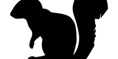 Животные 3729