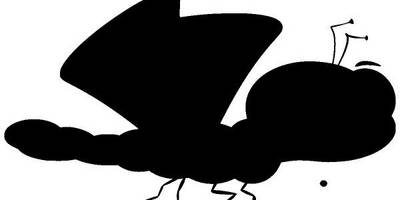 Животные 2529