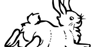 Животные 284