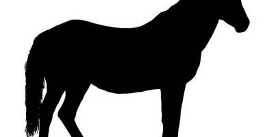 Животные 3936