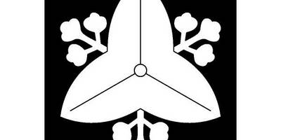 Японский узор 1021