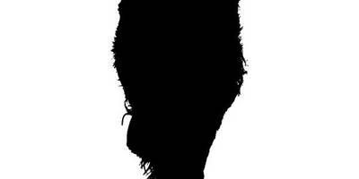 Животные 4288