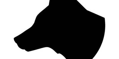 Животные 1298