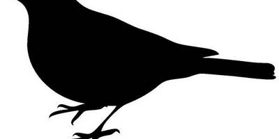 Животные 686