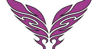 Виниловая наклейка на авто 383