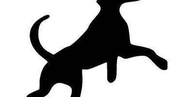 Животные щенок 673