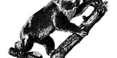 Животные 2792