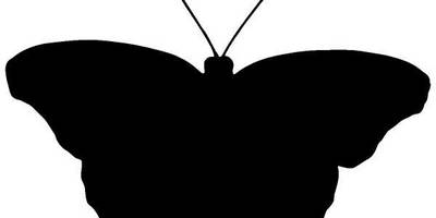 Животные 1058