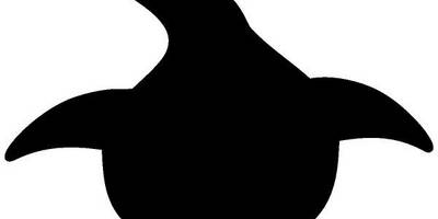 Животные 871