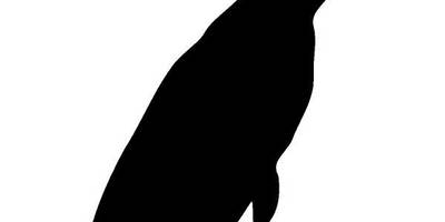 Животные 3492