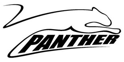 Виниловая наклейка на авто 610