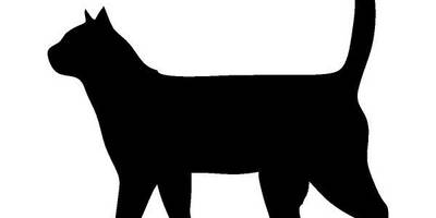 Животные 3291