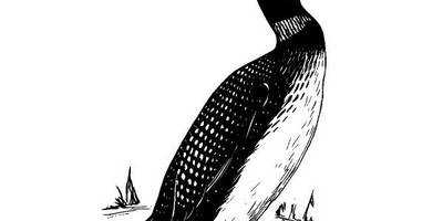 Животные 1059