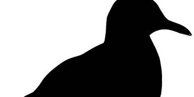 Животные 4251