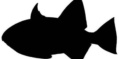 Животные 1142