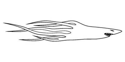 Виниловая наклейка на авто 72