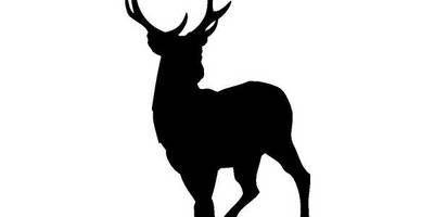 Животные 712