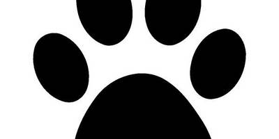 Животные 1218