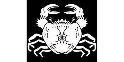 Японский узор 3325