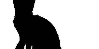 Животные 3266