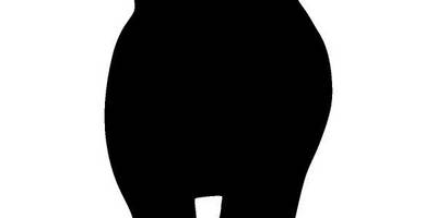 Животные 637