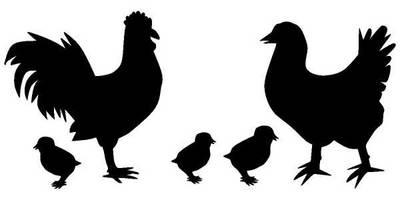 Животные 887