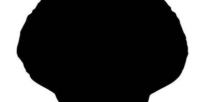 Животные 2248