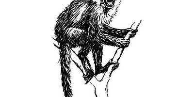 Животные 229