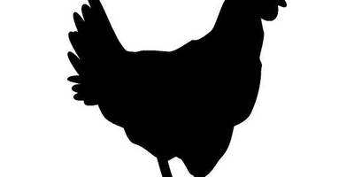 Животные 721