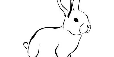 Животные 1536