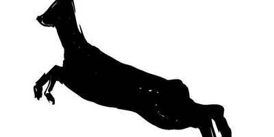 Животные 216