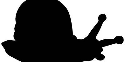 Животные 2459