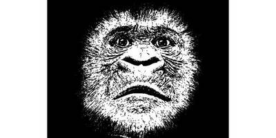 Животные 243