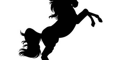 Животные 3571