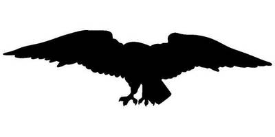 Животные 1223