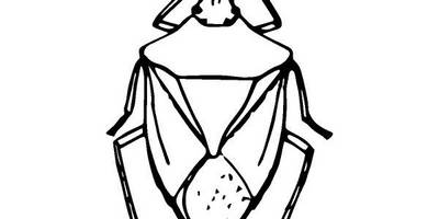 Животные 2446